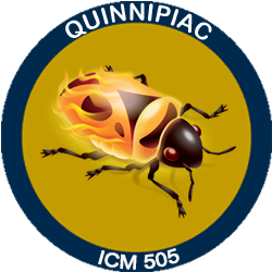Firebug Badge